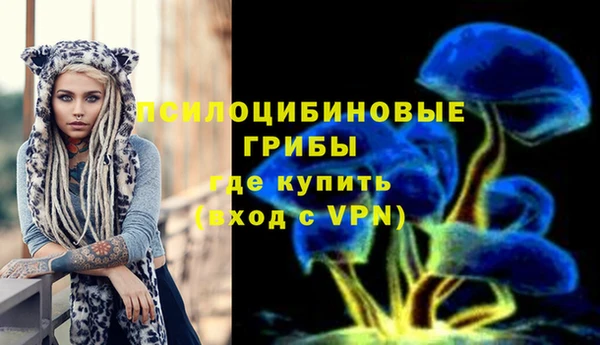 таблы Аша