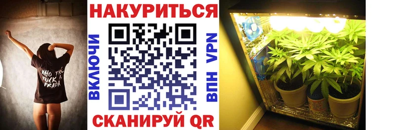 закладки  Игра  дарк нет телеграм  Бошки марихуана LSD WEED 